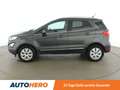 Ford EcoSport 1.5 EcoBlue TDCi Titanium *TEMPO*CAM*TOT*NAVI* Grau - thumbnail 3
