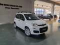Fiat Panda Panda III 2016 0.9 Metano Blanc - thumbnail 2