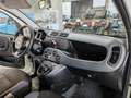 Fiat Panda Panda III 2016 0.9 Metano Blanc - thumbnail 7