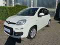 Fiat Panda Lounge Klima+Bluetooth Weiß - thumbnail 2