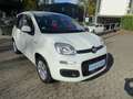 Fiat Panda Lounge Klima+Bluetooth Weiß - thumbnail 8