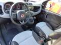 Fiat Panda Lounge Klima+Bluetooth Weiß - thumbnail 5