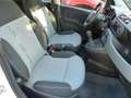 Fiat Panda Lounge Klima+Bluetooth Weiß - thumbnail 3