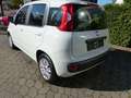 Fiat Panda Lounge Klima+Bluetooth Weiß - thumbnail 6