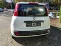 Fiat Panda Lounge Klima+Bluetooth Weiß - thumbnail 12