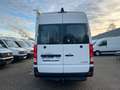 Hyundai H 350 2,5 CRDI Maxi Hoch+Lang*Glaßtranporter* Bílá - thumbnail 15