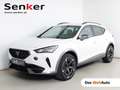 CUPRA Formentor 2.0 TDI 150 PS DSG 4Drive Weiß - thumbnail 1