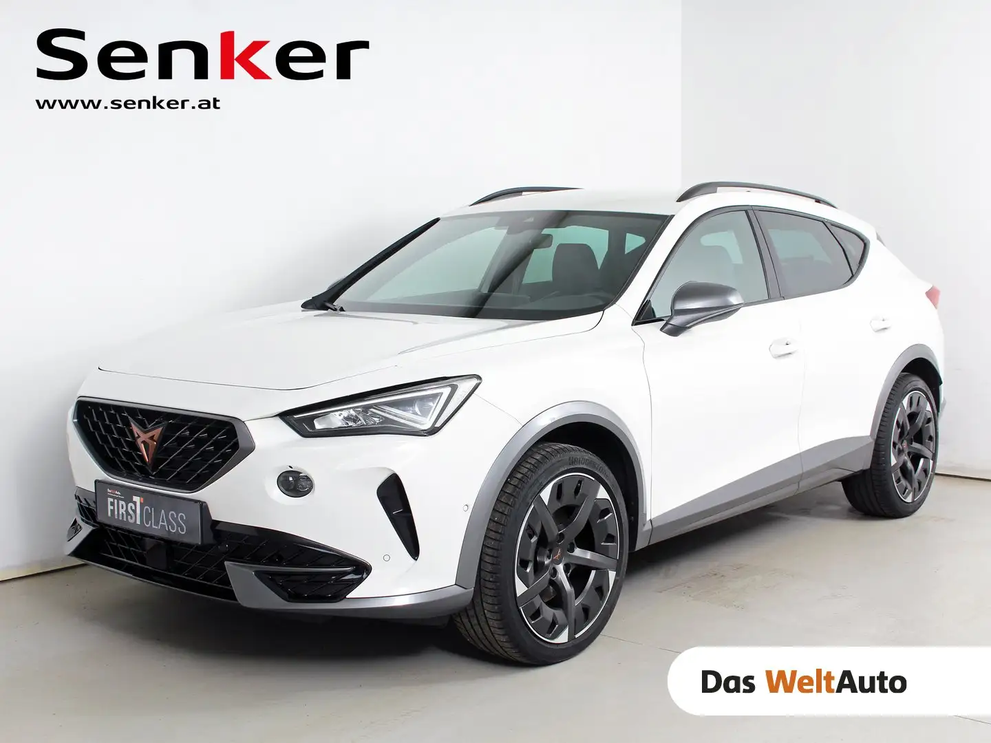 CUPRA Formentor 2.0 TDI 150 PS DSG 4Drive Weiß - 1