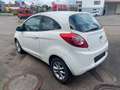 Ford Ka/Ka+ Champions Edition Weiß - thumbnail 7