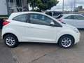 Ford Ka/Ka+ Champions Edition Weiß - thumbnail 4