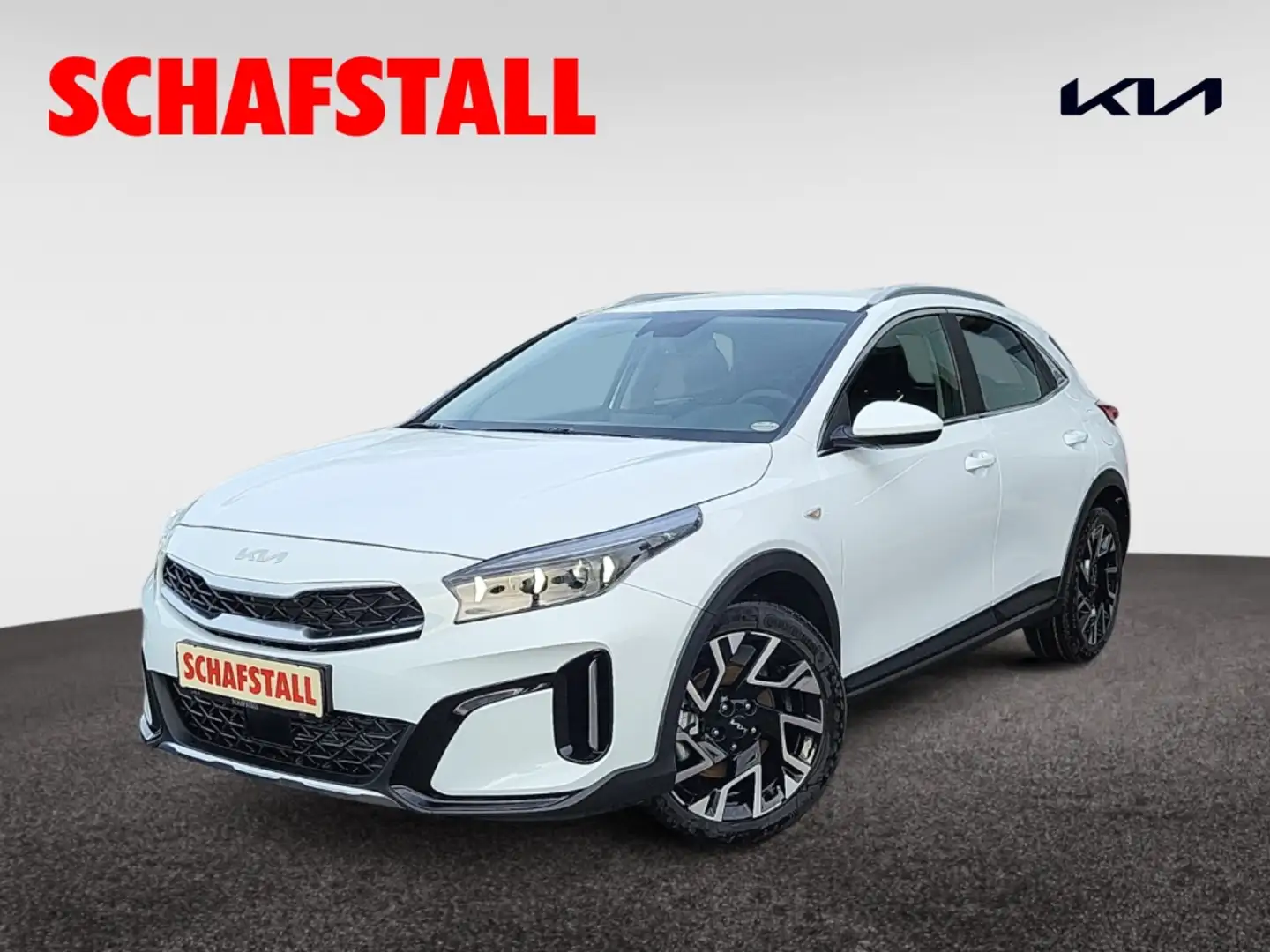 Kia XCeed 1,5 T Automatik Vision + Komfort-Paket Navi Sitzhe Weiß - 1