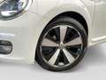 Volkswagen Beetle Cabriolet 1.2 TSI Allstar Navi Kamera Weiß - thumbnail 5