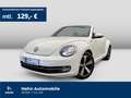 Volkswagen Beetle Cabriolet 1.2 TSI Allstar Navi Kamera Weiß - thumbnail 1