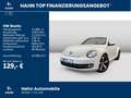 Volkswagen Beetle Cabriolet 1.2 TSI Allstar Navi Kamera Weiß - thumbnail 2