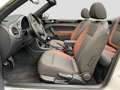 Volkswagen Beetle Cabriolet 1.2 TSI Allstar Navi Kamera Weiß - thumbnail 10