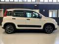 Fiat Panda Panda 1.0 firefly hybrid City Life *PREZZO PROMO* Weiß - thumbnail 5