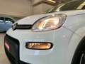Fiat Panda Panda 1.0 firefly hybrid City Life *PREZZO PROMO* Weiß - thumbnail 15