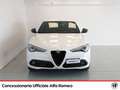 Alfa Romeo Stelvio 2.2 t veloce ti q4 210cv auto Wit - thumbnail 2