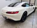 Mercedes-Benz AMG GT AMG Bianco - thumbnail 7