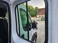 Fiat Ducato MAXI Serie 10 2025 DOKA 3-Seitenkiipper Weiß - thumbnail 32
