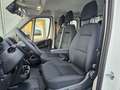 Fiat Ducato MAXI Serie 10 2025 DOKA 3-Seitenkiipper Weiß - thumbnail 11