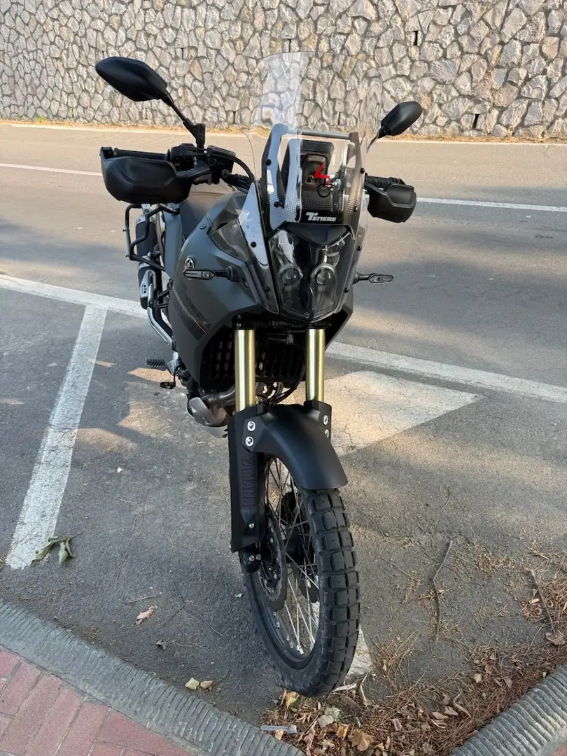 Yamaha Ténéré 700 Explorer Edition Grigio - 2