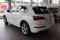 Audi Q5 40 TDI quattro sport,PDC,Navi,LED,AHK,1.Hand Blanc - thumbnail 3