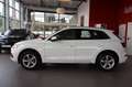 Audi Q5 40 TDI quattro sport,PDC,Navi,LED,AHK,1.Hand Blanc - thumbnail 9