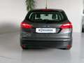Ford Focus 1.6 120 CV GPL SW Titanium Grijs - thumbnail 25