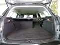 Ford Focus 1.6 120 CV GPL SW Titanium Grijs - thumbnail 21