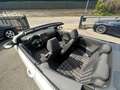 Volkswagen Golf Cabriolet 6 2.0 GTI Blanc - thumbnail 10