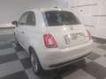 Fiat 500 DOLCEVITA 1.0 HYBRID 51KW 70CV Weiß - thumbnail 18