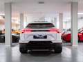 Lamborghini Urus 4.0 S -TETTO-CERCHI 23-SCARICO-IVA ESPOSTA Bianco - thumbnail 5