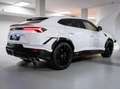 Lamborghini Urus 4.0 S -TETTO-CERCHI 23-SCARICO-IVA ESPOSTA Bianco - thumbnail 4