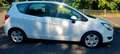 Opel Meriva B Edition/Tüv.Neu/Garantie Weiß - thumbnail 4