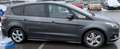 Ford S-Max 2.0 TDCi AWD ST-Line (EU6.2)7 pl. PowerShift(Auto) Grijs - thumbnail 10