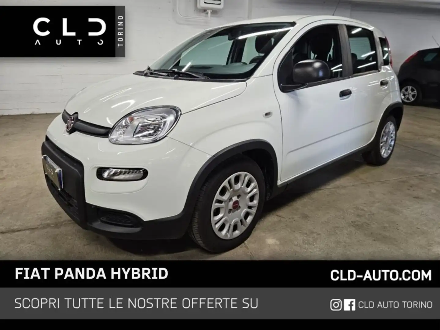Fiat Panda 1.0 FireFly S&S Hybrid Blanc - 1