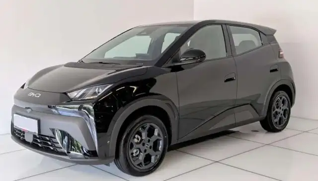 BYD Dolphin Surf SURF ACTIVE 88Ccv Batteria 30kwh