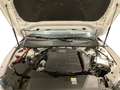 Audi A7 A7 SPB 40 2.0 TDI S tronic Bianco - thumbnail 11