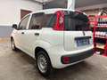 Fiat Panda 1.3 mjt 16v Easy N1 AUTOCARRO NESSUN VINCOLO!! Wit - thumbnail 2