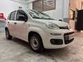 Fiat Panda 1.3 mjt 16v Easy N1 AUTOCARRO NESSUN VINCOLO!! Wit - thumbnail 4