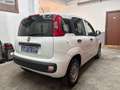 Fiat Panda 1.3 mjt 16v Easy N1 AUTOCARRO NESSUN VINCOLO!! Wit - thumbnail 3