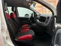 Fiat Panda 1.3 mjt 16v Easy N1 AUTOCARRO NESSUN VINCOLO!! Wit - thumbnail 9