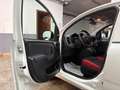 Fiat Panda 1.3 mjt 16v Easy N1 AUTOCARRO NESSUN VINCOLO!! Wit - thumbnail 5