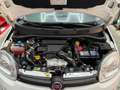 Fiat Panda 1.3 mjt 16v Easy N1 AUTOCARRO NESSUN VINCOLO!! Wit - thumbnail 11