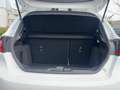 Ford Fiesta Cool & Connect 5Jahre Garantie+3 Insp inkl Wit - thumbnail 10