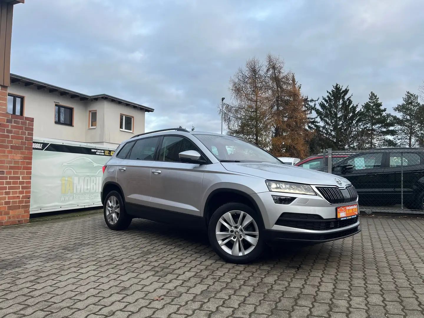 Skoda Karoq Ambition Grau - 1