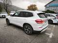 BMW X3 X3 xdrive20d mhev 48V Business Advantage auto Weiß - thumbnail 4