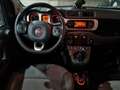 Fiat Panda 0.9 t.air t. Cross 4x4 s&s 85cv - thumbnail 17