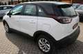 Opel Crossland X Edition Aut. Klima/Sitz-Lenkradhz Wit - thumbnail 3